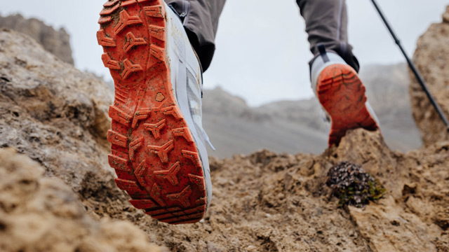 Quechua x Forclaz Outdoor 2023