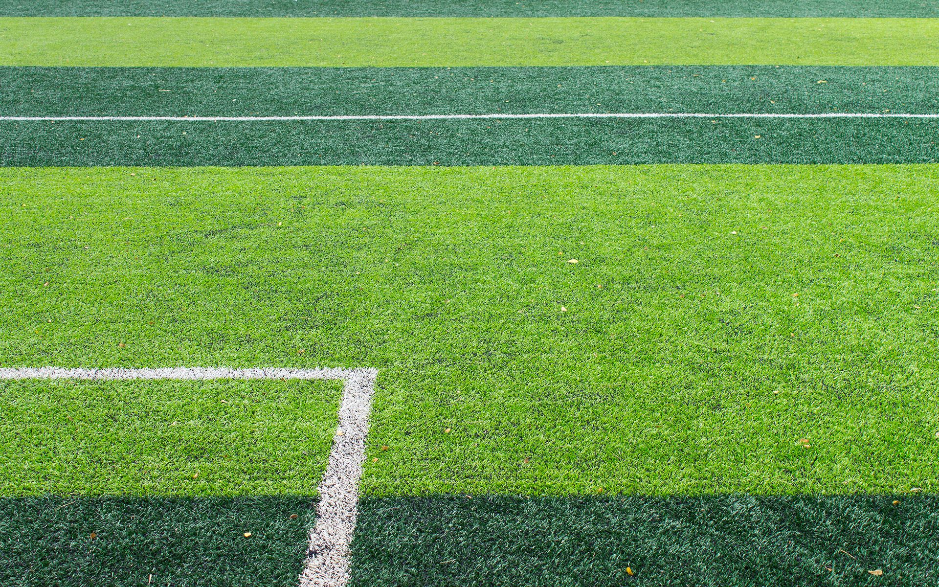 America's Best Soccer Players
