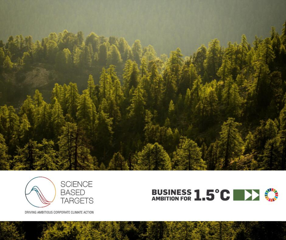 DECATHLON's Near-Term and Net-Zero Targets Validated by the SBTi
